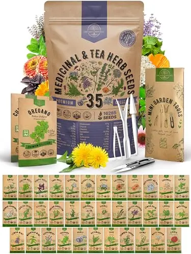 Variety pack of 35 medicinal and tea herb seeds for gardening